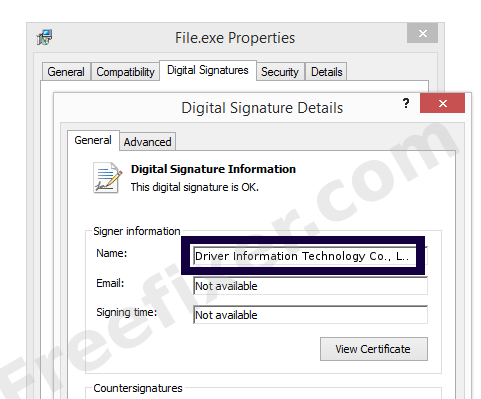 Screenshot of the Driver Information Technology Co., Ltd. certificate